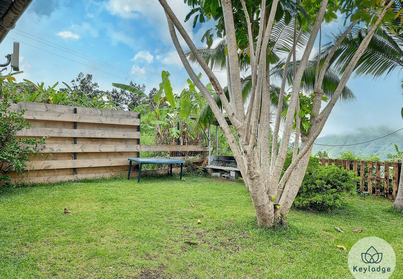 Bungalow à SAINT-LOUIS - Jardin de Montplaisir - Scheffléra – Bungalow 25m² avec vue sur la montagne – Saint-Louis